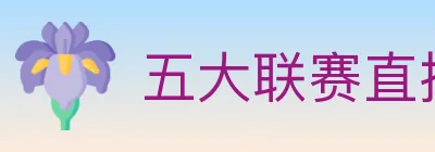 五大联赛直播 logo